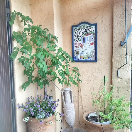 T2 55 M2 Avec Terrasse 25 M2 *